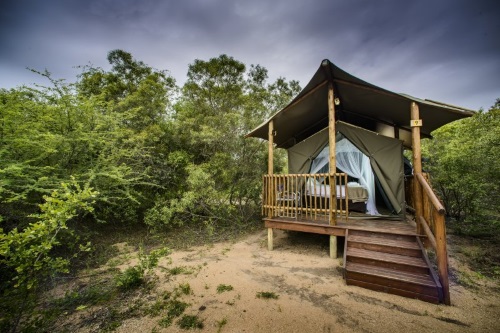 Shalati Safari Camp tent